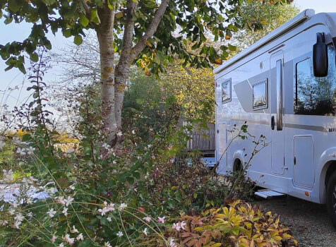 camping-car RAPIDO C55 I  extérieur / face avant